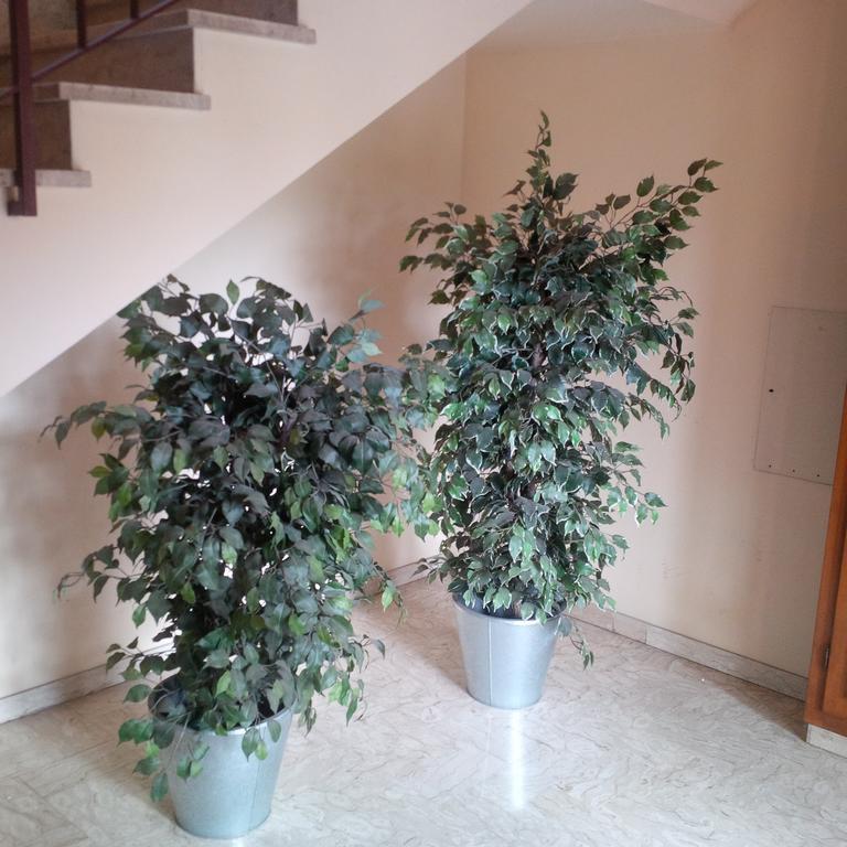 Casa Venturi Apartment Скандичи Екстериор снимка